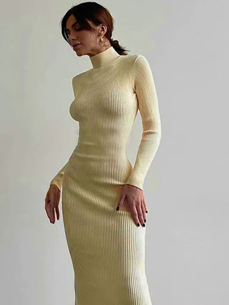 Autumn Winter Turtleneck Knitted Bodycon Dress | Elegant Long Sleeve Sweater Dress